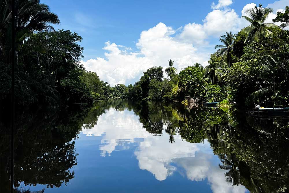 Honeymoons - Life Beyond The Room