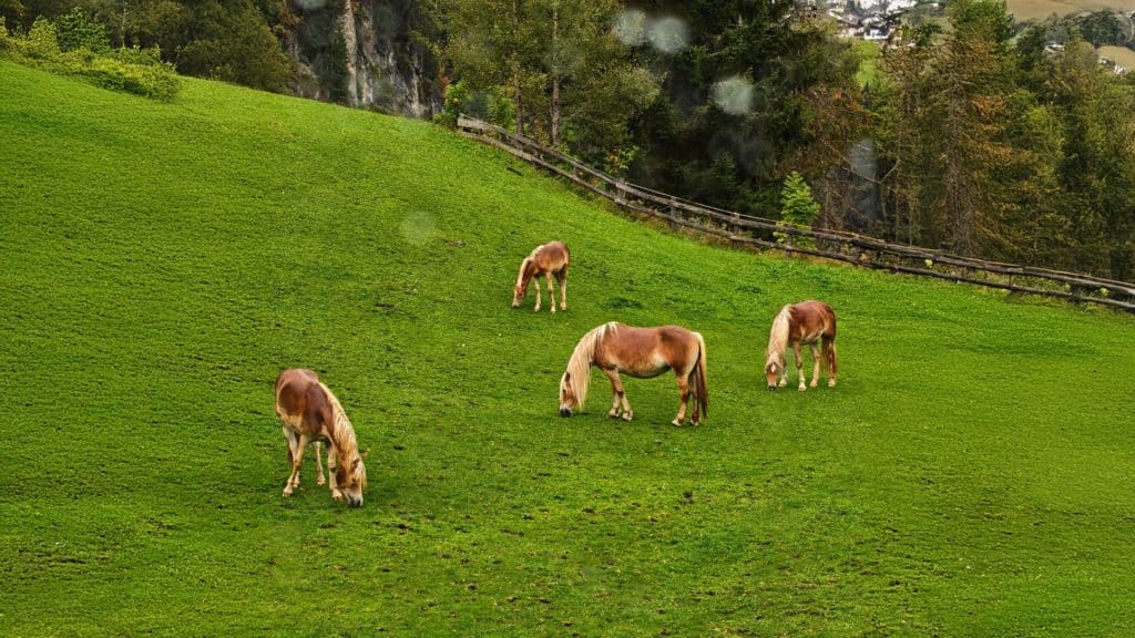 Accommodations In Italy For Travel Advisors: Why The Right Stay Defines The Journey - Life Beyond The Room