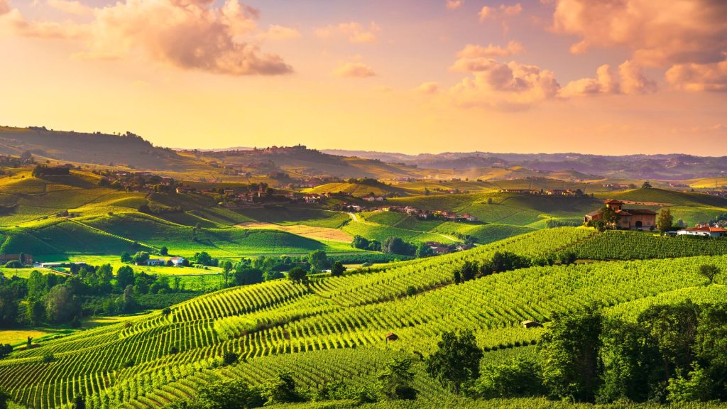 The Tuscan Countryside Invites Slow Travel, With Rolling Hills, Vineyards, And Timeless Scenery.